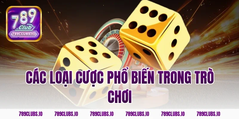 Các loại cược phổ biến trong trò chơi
