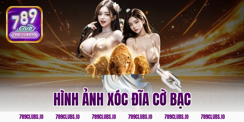 Tổng Hợp Hình Ảnh Xóc Đĩa Cờ Bạc Đẹp Nhất Của 789CLUB