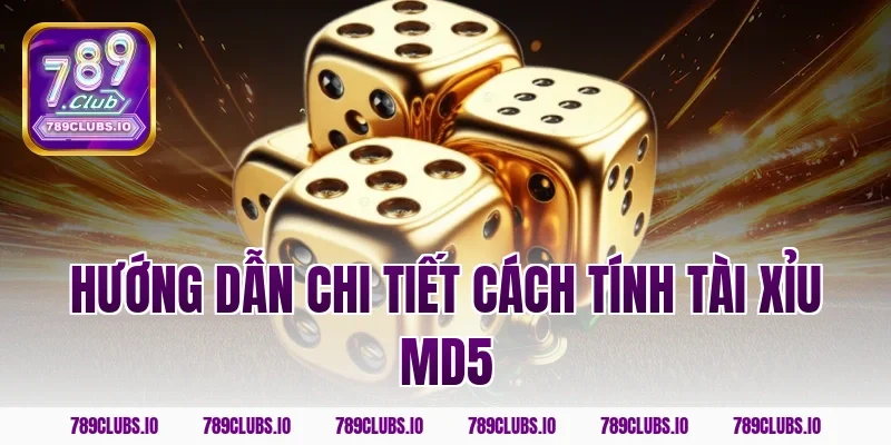 Hướng dẫn chi tiết cách tính tài xỉu md5