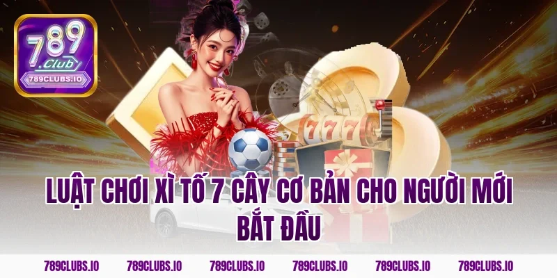 Luật chơi xì tố 7 cây cơ bản cho người mới bắt đầu